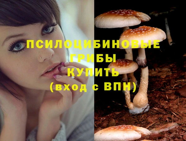 MDMA Киреевск